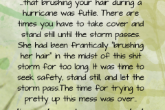 shit-storm-copy